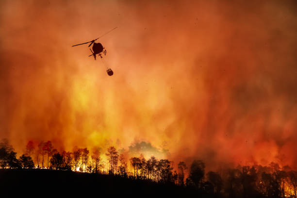 Orman yangını ve söndürme çalışmaları