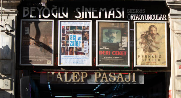 Türk sinemacılığı