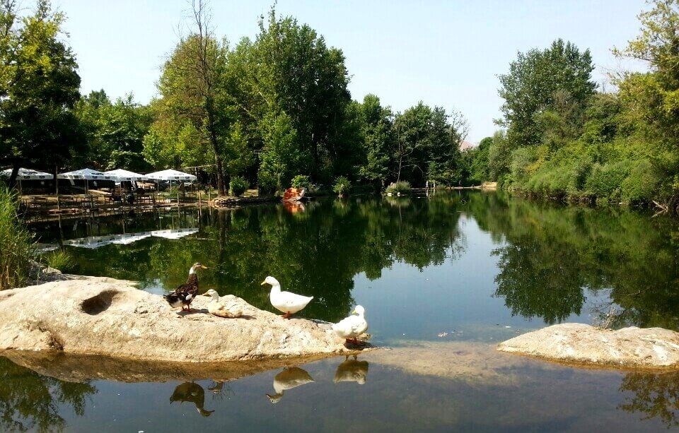 İzmit'e yakın yerler Ballıkayalar Tabiat Parkı