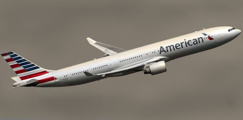 Amerika İç Hat Uçuşu
